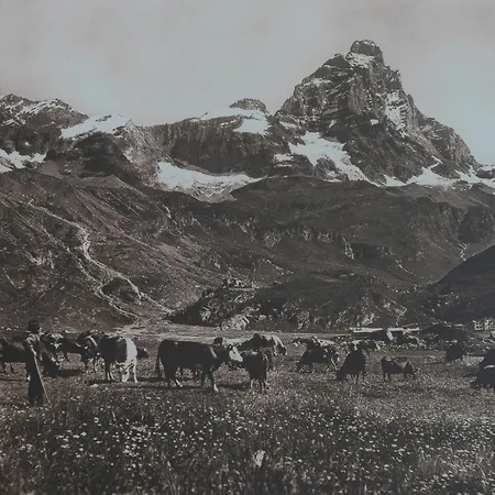 酒店 缪博卓利酒店 2*