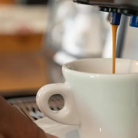 缪博卓利酒店 酒店