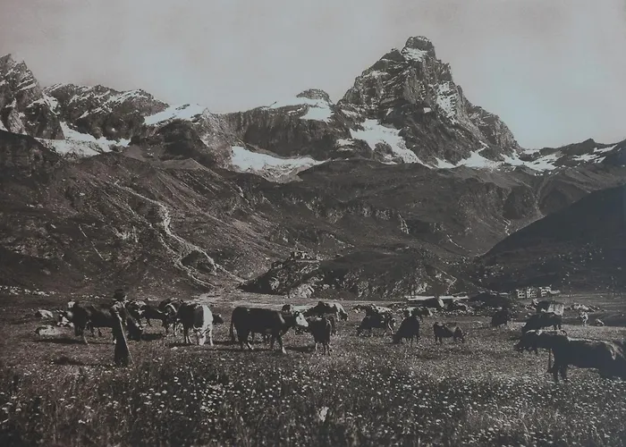 Hotel Meuble' Joli 2*